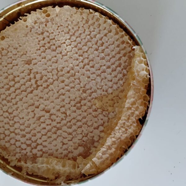 Traditional log hive honey